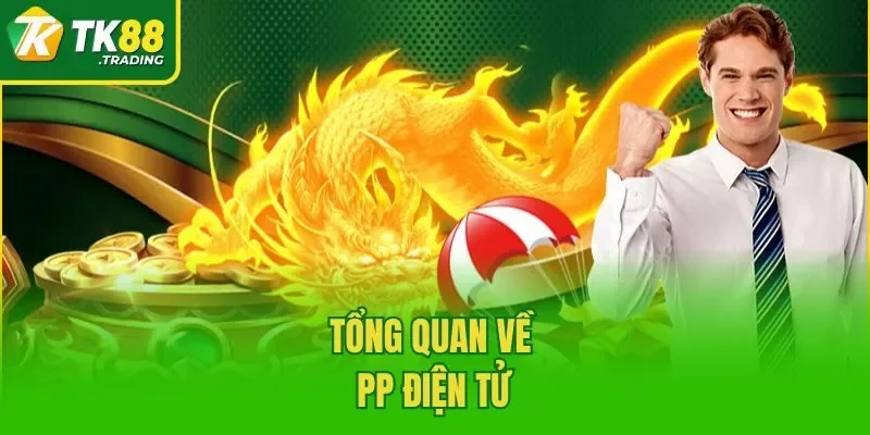 Tổng quan về PP điện tử