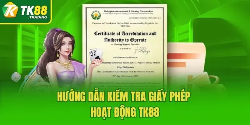 Hướng dẫn kiểm tra giấy phép hoạt động TK88