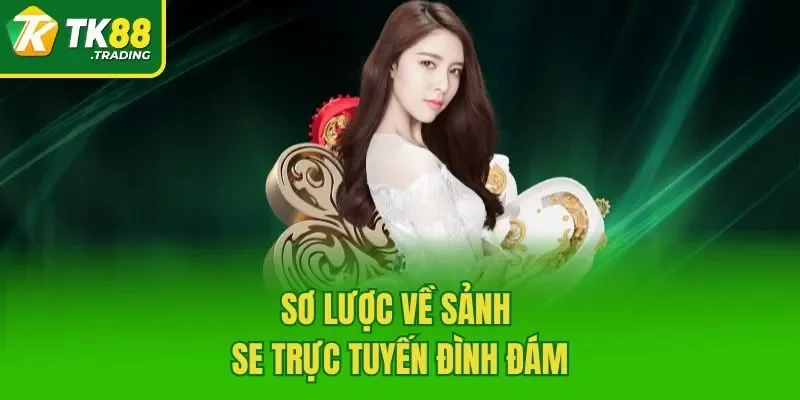 Sơ lược về sảnh SE trực tuyến đình đám