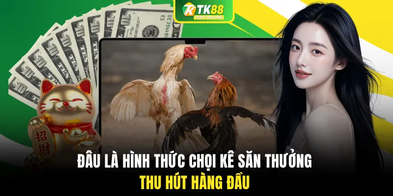 Đâu là hình thức chọi kê săn thưởng thu hút hàng đầu