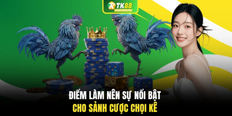 Điểm làm nên sự nổi bật cho sảnh cược chọi kê