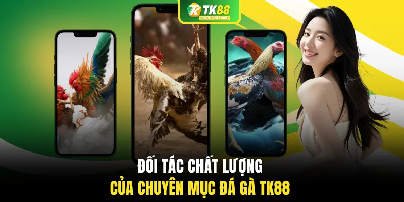 Đối tác chất lượng của chuyên mục đá gà TK88