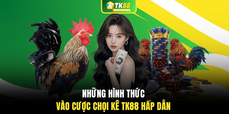 Những hình thức vào cược chọi kê TK88 hấp dẫn