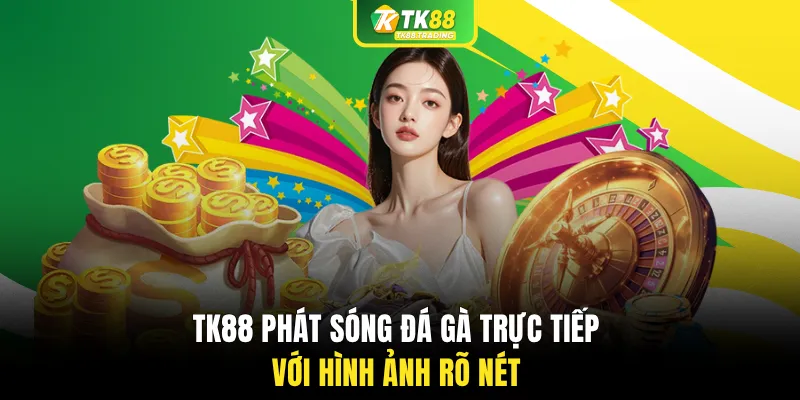 TK88 phát sóng đá gà trực tiếp với hình ảnh rõ nét